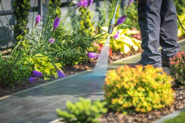 Riner, VA Pressure Washing Services Company